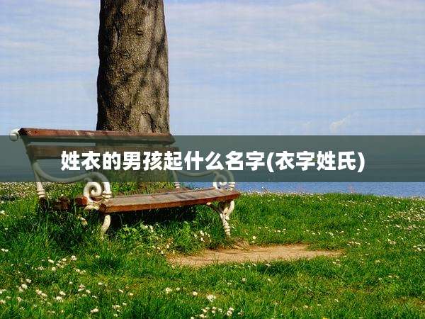 姓衣的男孩起什么名字(衣字姓氏)