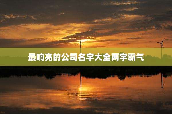 最响亮的公司名字大全两字霸气