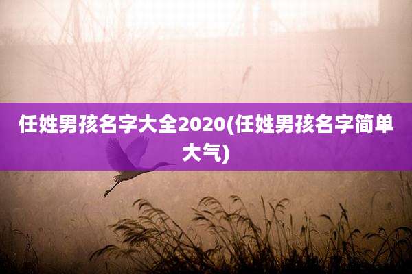 任姓男孩名字大全2020(任姓男孩名字简单大气)