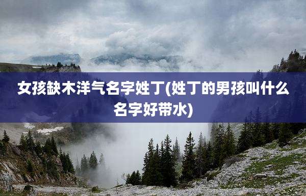 女孩缺木洋气名字姓丁(姓丁的男孩叫什么名字好带水)