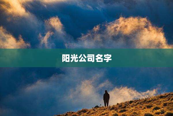阳光公司名字