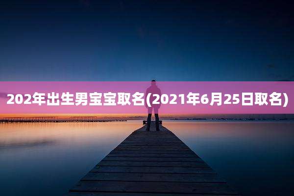 202年出生男宝宝取名(2021年6月25日取名)