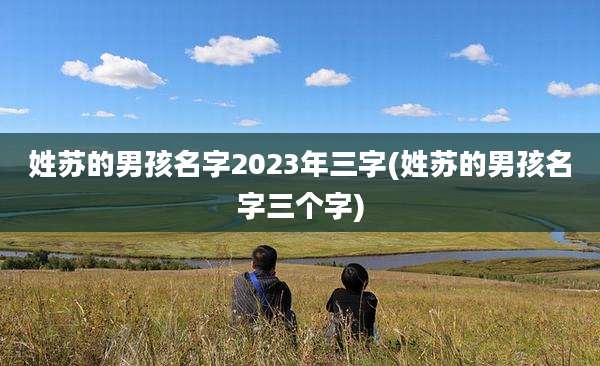 姓苏的男孩名字2023年三字(姓苏的男孩名字三个字)