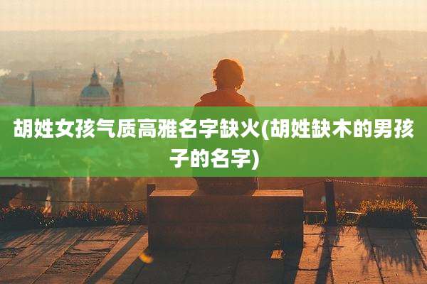 胡姓女孩气质高雅名字缺火(胡姓缺木的男孩子的名字)
