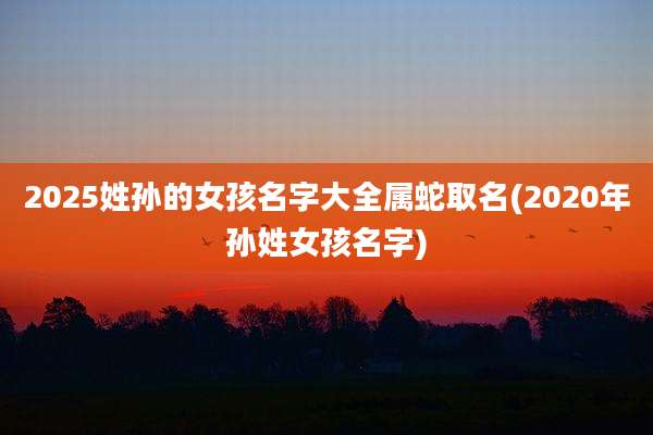 2025姓孙的女孩名字大全属蛇取名(2020年孙姓女孩名字)