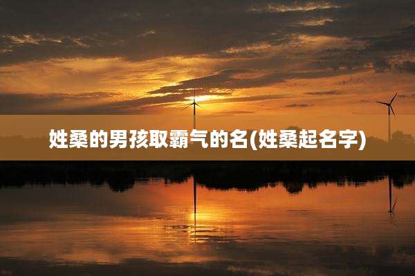 姓桑的男孩取霸气的名(姓桑起名字)