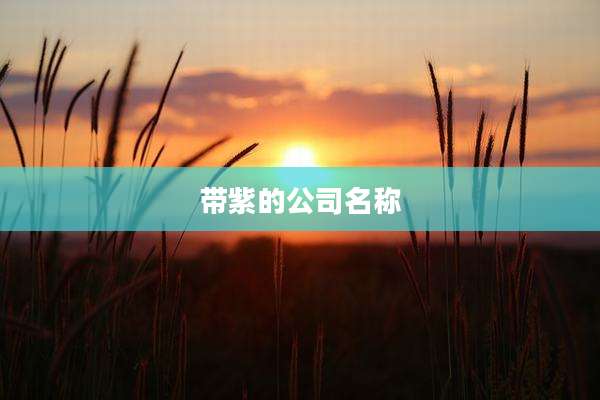 带紫的公司名称