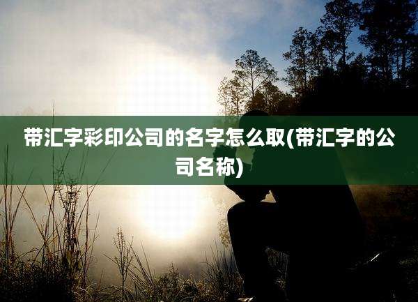 带汇字彩印公司的名字怎么取(带汇字的公司名称)