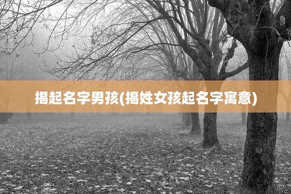 揭起名字男孩(揭姓女孩起名字寓意)