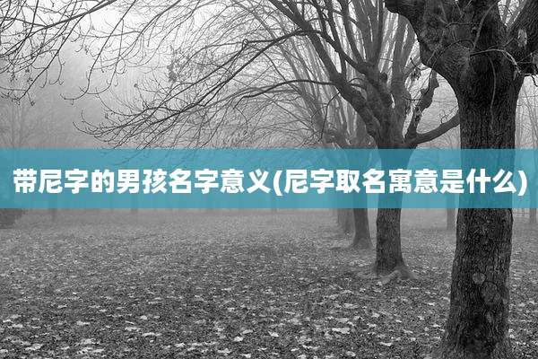 带尼字的男孩名字意义(尼字取名寓意是什么)
