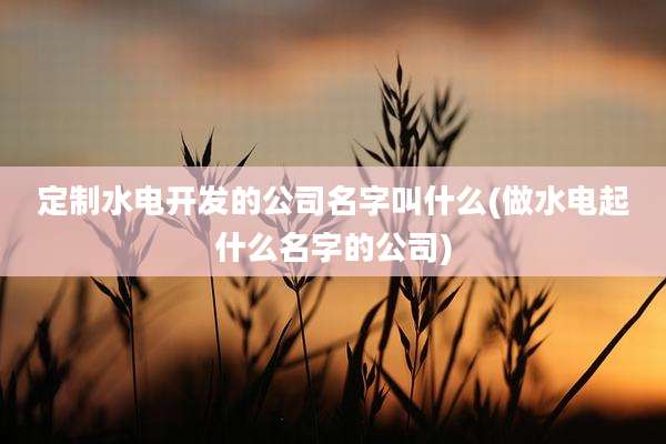 定制水电开发的公司名字叫什么(做水电起什么名字的公司)