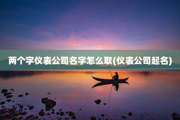 两个字仪表公司名字怎么取(仪表公司起名)