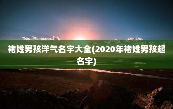 褚姓男孩洋气名字大全(2020年褚姓男孩起名字)