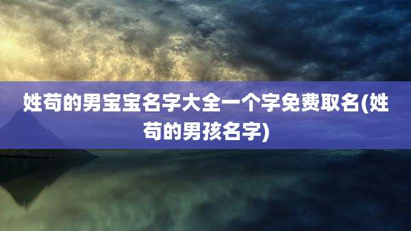 姓苟的男宝宝名字大全一个字免费取名(姓苟的男孩名字)