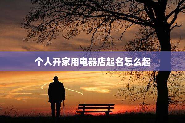 个人开家用电器店起名怎么起