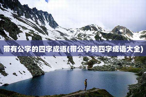 带有公字的四字成语(带公字的四字成语大全)