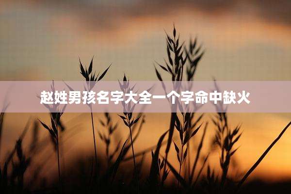 赵姓男孩名字大全一个字命中缺火