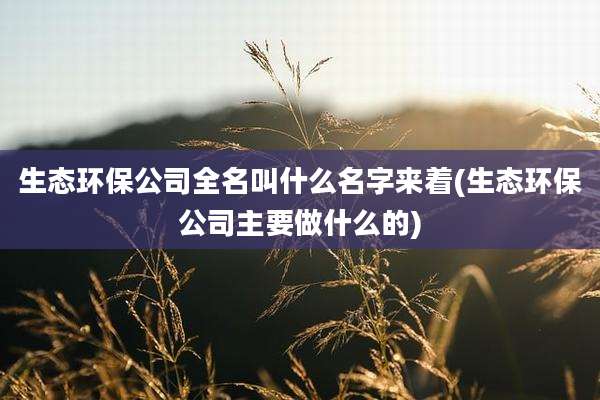 生态环保公司全名叫什么名字来着(生态环保公司主要做什么的)