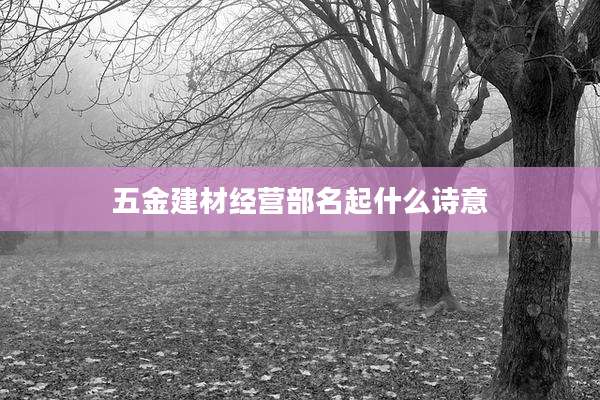 五金建材经营部名起什么诗意