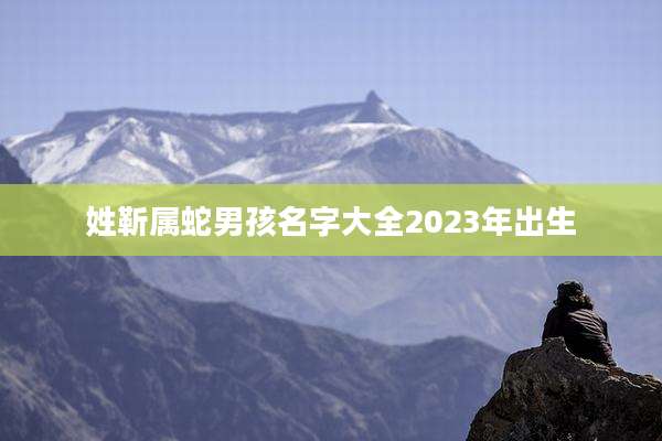 姓靳属蛇男孩名字大全2023年出生