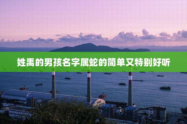 姓禹的男孩名字属蛇的简单又特别好听
