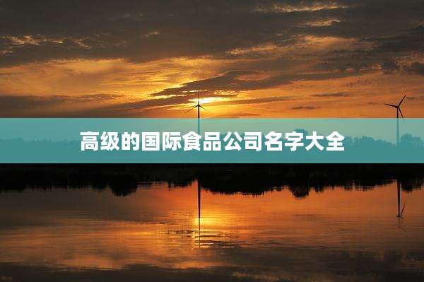 高级的国际食品公司名字大全