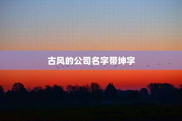 古风的公司名字带坤字