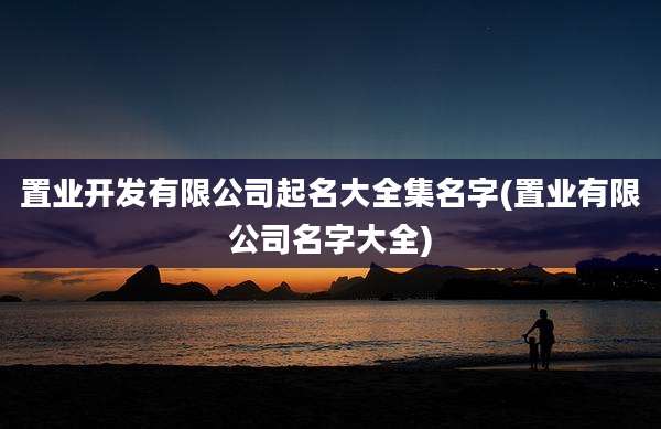 置业开发有限公司起名大全集名字(置业有限公司名字大全)