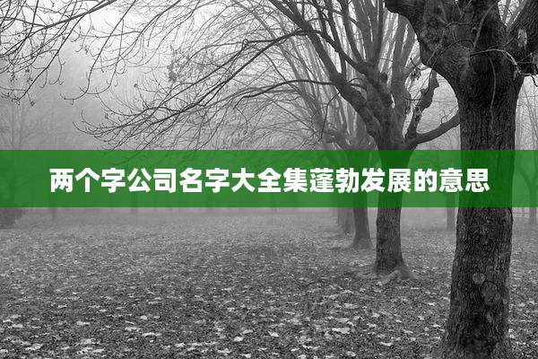 两个字公司名字大全集蓬勃发展的意思