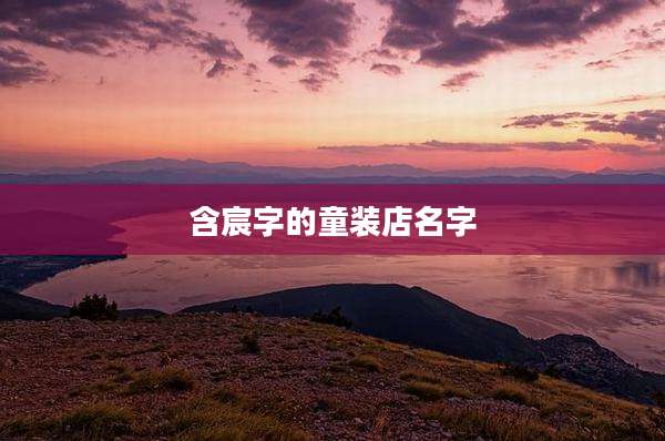 含宸字的童装店名字