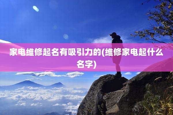 家电维修起名有吸引力的(维修家电起什么名字)