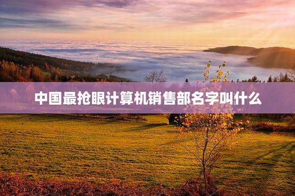 中国最抢眼计算机销售部名字叫什么