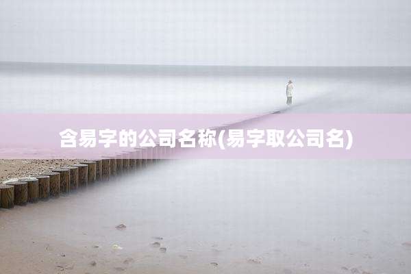 含易字的公司名称(易字取公司名)