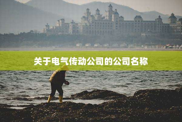 关于电气传动公司的公司名称