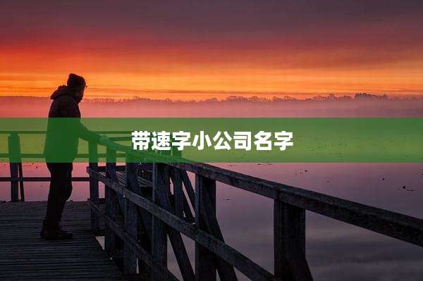 带速字小公司名字