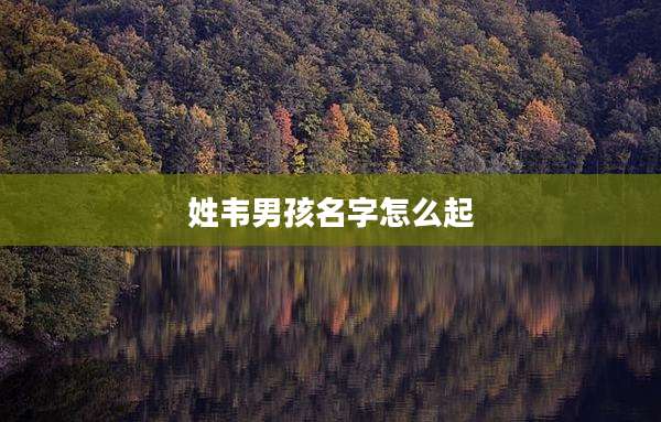 姓韦男孩名字怎么起