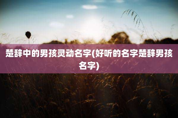 楚辞中的男孩灵动名字(好听的名字楚辞男孩名字)