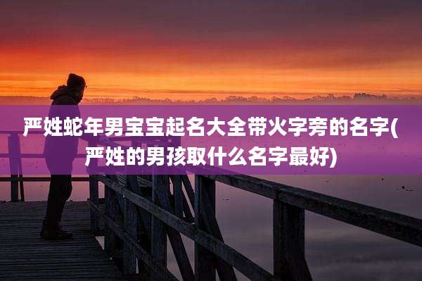 严姓蛇年男宝宝起名大全带火字旁的名字(严姓的男孩取什么名字最好)