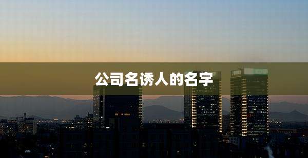 公司名诱人的名字