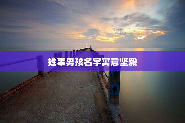 姓辜男孩名字寓意坚毅