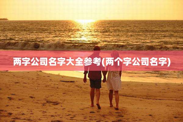 两字公司名字大全参考(两个字公司名字)