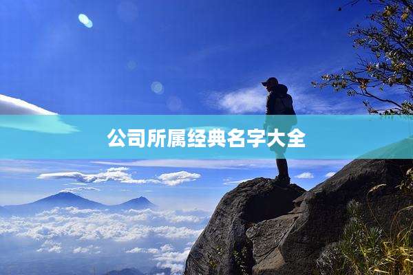 公司所属经典名字大全