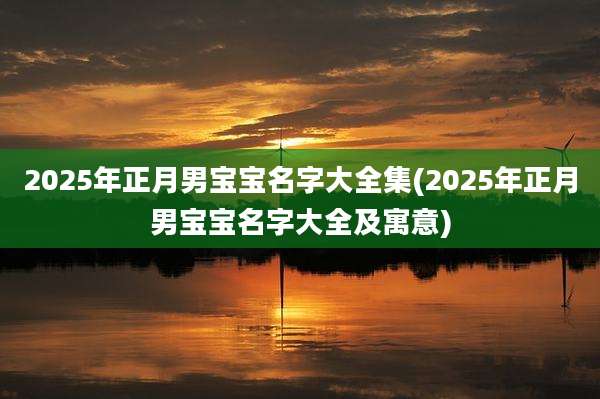 2025年正月男宝宝名字大全集(2025年正月男宝宝名字大全及寓意)