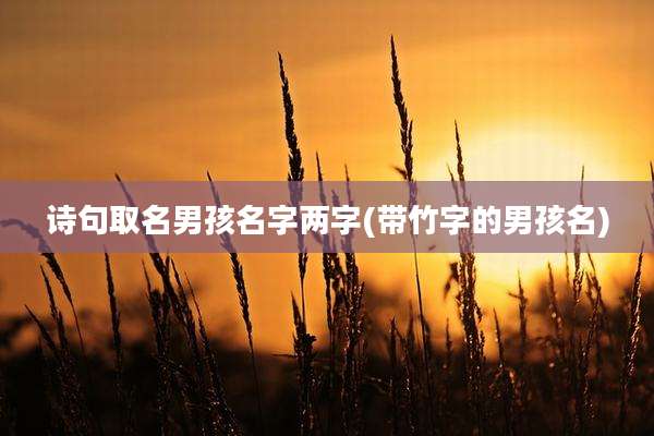 诗句取名男孩名字两字(带竹字的男孩名)