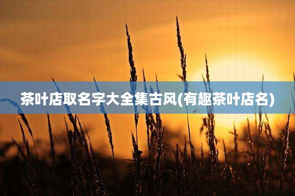 茶叶店取名字大全集古风(有趣茶叶店名)