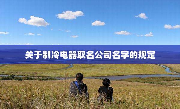 关于制冷电器取名公司名字的规定