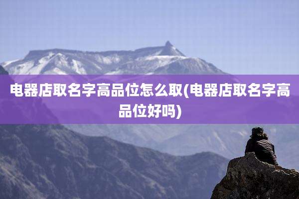 电器店取名字高品位怎么取(电器店取名字高品位好吗)