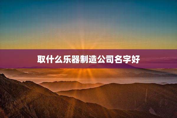 取什么乐器制造公司名字好