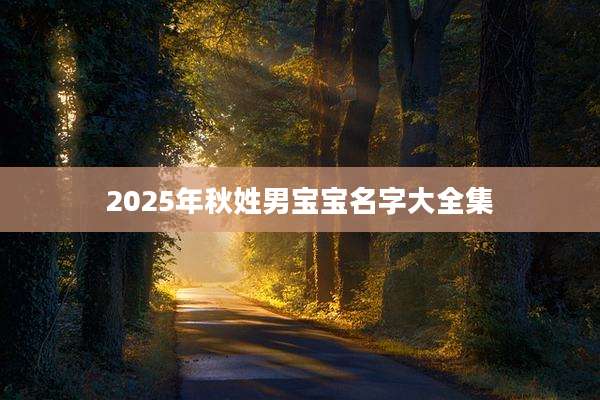 2025年秋姓男宝宝名字大全集