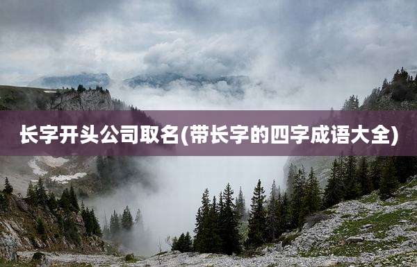 长字开头公司取名(带长字的四字成语大全)